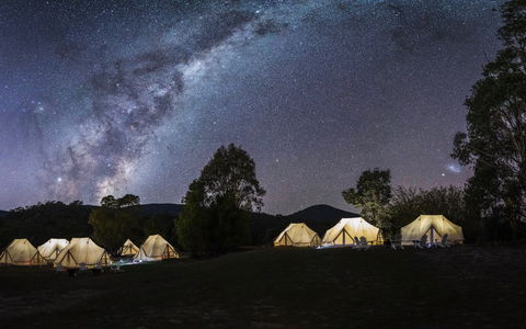 A Wild Night Out - Spring - New Castle Holiday 6