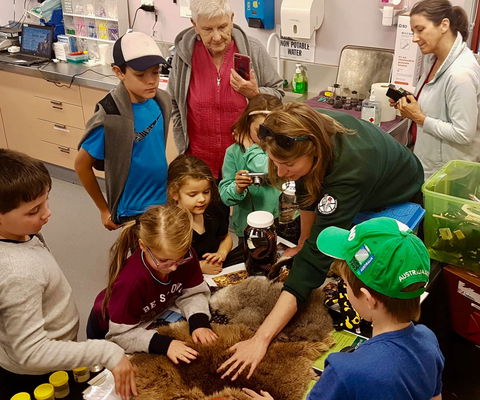 A Wild Night Out - Spring - New Castle Holiday 7