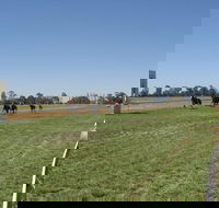Balranald Races -Derby Day - New Castle Holiday