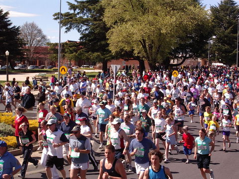 Bathurst Edgell Jog - New Castle Holiday 0