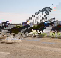 Bedourie Races and Rodeo - New Castle Holiday