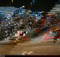 Black Opal Bull and Bronc Ride - New Castle Holiday