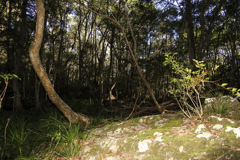 Bottlebutt Bash Trail Run - New Castle Holiday 1