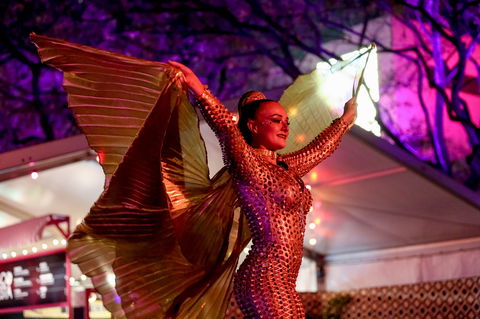 Brisbane Festival - New Castle Holiday 0