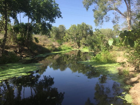 Conservation Volunteers Australia Townsville - Creekwatch - New Castle Holiday 0
