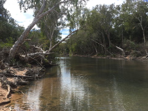 Conservation Volunteers Australia Townsville - Creekwatch - New Castle Holiday 2