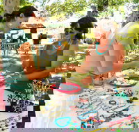 Coonabarabran Townlife Markets - New Castle Holiday