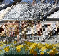 Daffodils at Rydal - New Castle Holiday