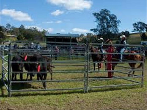 Dungog Team Penning - New Castle Holiday 0