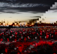 Field of Light Uluru - New Castle Holiday