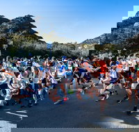 Freycinet Challenge - New Castle Holiday