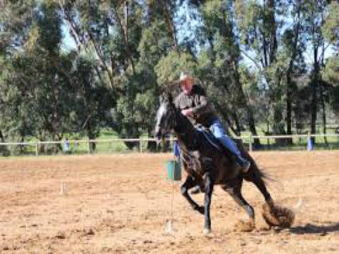 Glen William Gymkhana - New Castle Holiday 1