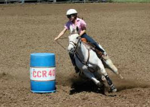 Glen William Gymkhana - New Castle Holiday 2