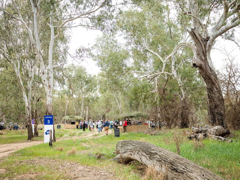 Grazing Down The Lachlan - New Castle Holiday 2