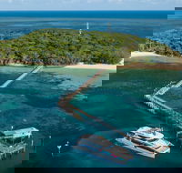 Great Adventures Green Island Ocean Swim - New Castle Holiday