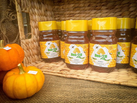 Greater Whitsunday Farmers Markets - New Castle Holiday 1