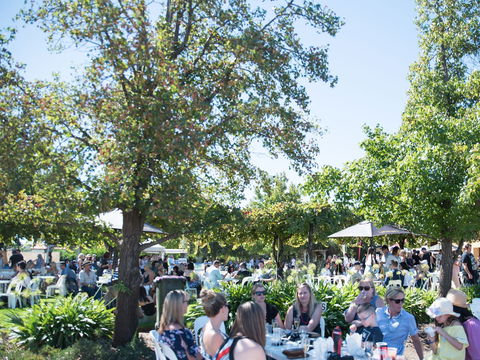 Griffith Vintage Festival - New Castle Holiday 2