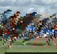 Griffith Shaheedi Tournament - New Castle Holiday