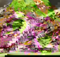 Home style Vietnamese Cooking - New Castle Holiday