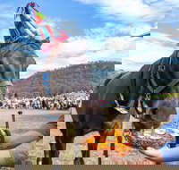 Horses Birthday Festival - New Castle Holiday