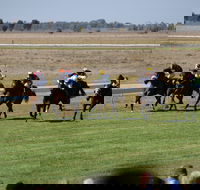Jerilderie Gold Cup Races - New Castle Holiday