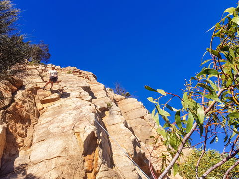 July 2020 Holidays- Explore & Climb - New Castle Holiday 1