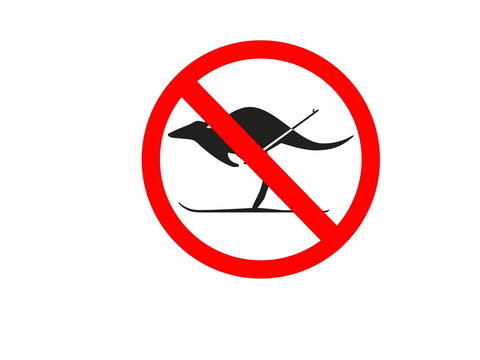 Kangaroo Hoppet - New Castle Holiday 0