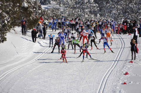 Kangaroo Hoppet - New Castle Holiday 1