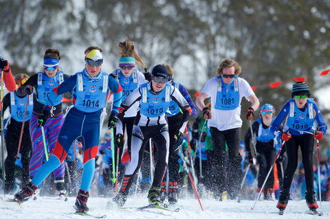 Kangaroo Hoppet - New Castle Holiday 2