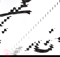 Learn Japanese calligraphy - New Castle Holiday