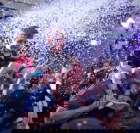 Light Up Windsor - New Castle Holiday