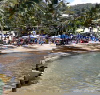 Lions Airlie Beach Community Markets - New Castle Holiday