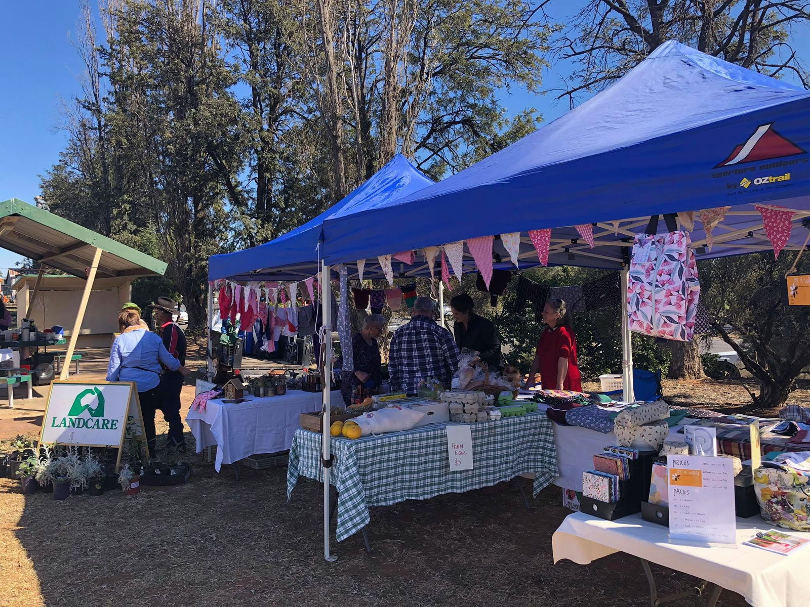Leadville NSW New Castle Holiday