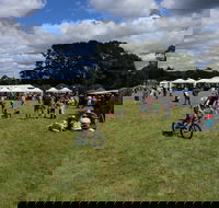 Majors Creek Festival - New Castle Holiday