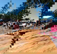 Maleny Wood Expo From Seed to Fine Furniture - New Castle Holiday