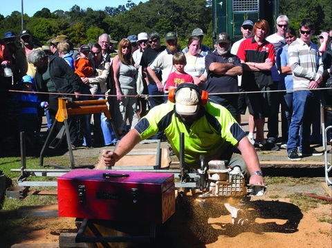 Maleny Wood Expo: From Seed To Fine Furniture - New Castle Holiday 2