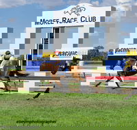 Moree Race Club TAB Race Day - New Castle Holiday