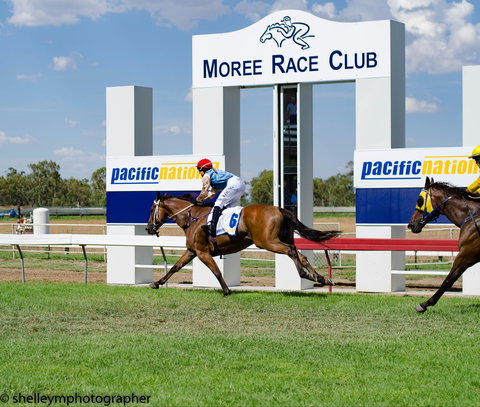 Moree Race Club TAB Race Day - New Castle Holiday 0