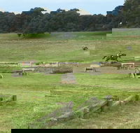 Mount Gambier and District Pony Club Horse Trials 2020 - New Castle Holiday