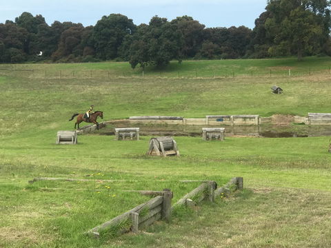 Mount Gambier And District Pony Club Horse Trials 2020 - New Castle Holiday 0