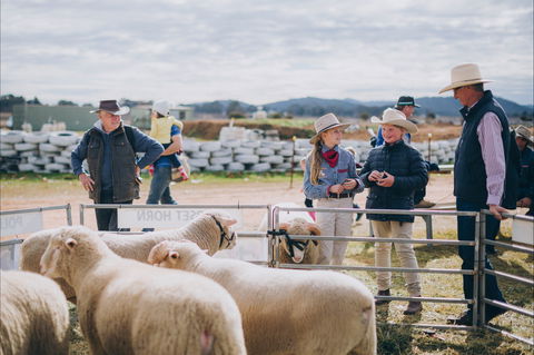 Mudgee Small Farm Field Days - New Castle Holiday 0