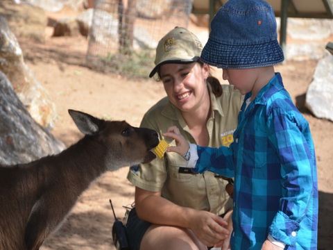 Mums And Cubs! And Dads Too! - New Castle Holiday 0