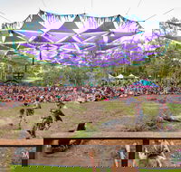 Mushroom Valley Festival - New Castle Holiday