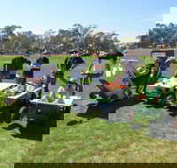 Nathalia Agricultural Show - New Castle Holiday