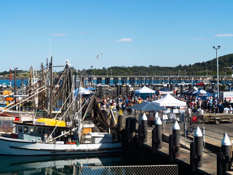 Ocean Harvest Festival - New Castle Holiday 0