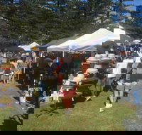 Palm Beach Market - New Castle Holiday