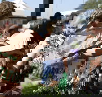 Sale  Producers Market - New Castle Holiday