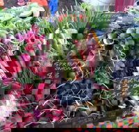 South Geelong Farmers Market - New Castle Holiday