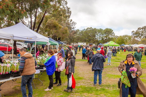 Spring Fling - New Castle Holiday 1