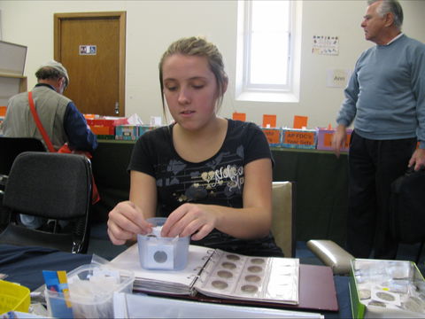 Stamp, Coin And Collectables Fair: September - New Castle Holiday 1